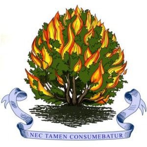 Profile picture for Bible Sermons Online