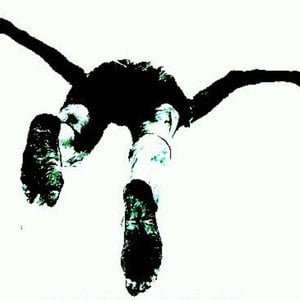Profile picture for postrockmusic