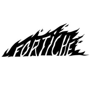Profile picture for Fortiche Prod