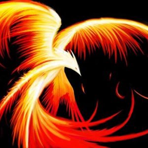 Profile picture for Syria Youth