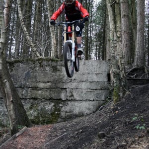 Profile picture for Will Weston