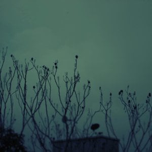 Profile picture for t.duarte