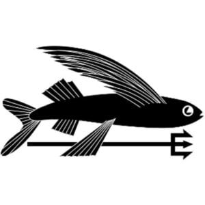Profile picture for Patagonia Surf Europe