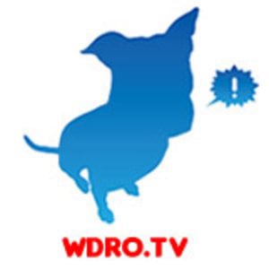 Profile picture for WDROTV