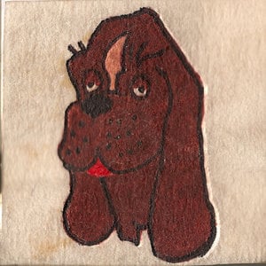 Profile picture for iji