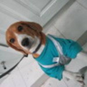 Profile picture for charkrid Thanhachartyothin