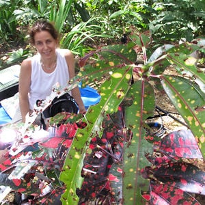 Profile picture for Catherine Chalmers