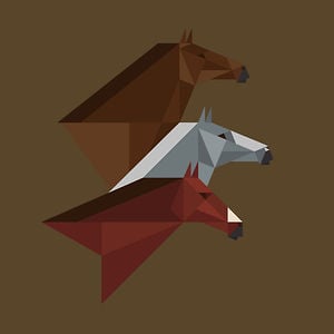 Profile picture for Rob Bailey