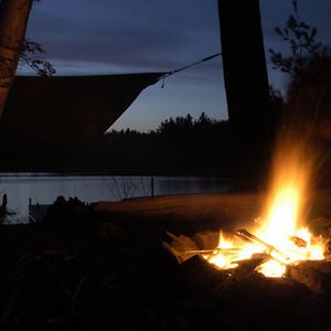 Profile picture for Northern Edge Algonquin