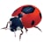 Socketbug Dev