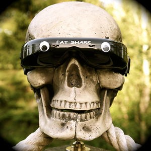 Profile picture for Tommy "TzT"