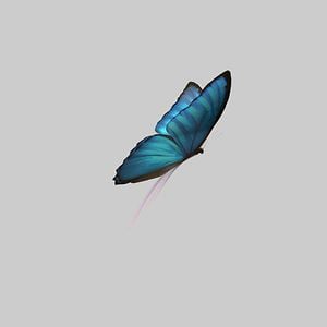 Profile picture for Kousoulides