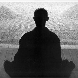 Profile picture for Qigong Master George Falcon - Te