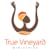 True Vineyard Ministries, Inc.
