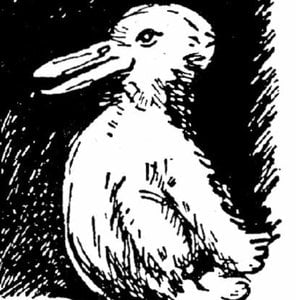 Profile picture for duckrabbit