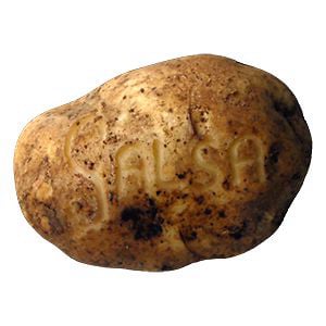 Profile picture for SalsaPotato