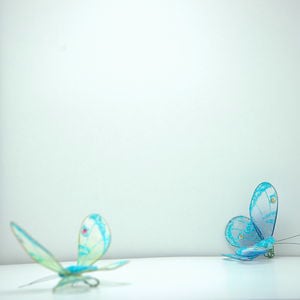 Profile picture for Anita Remón
