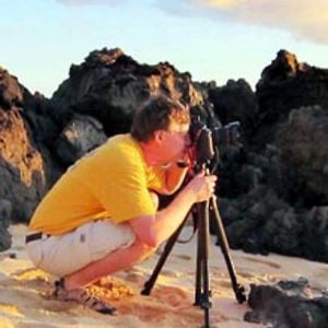 Profile picture for Mark Ellis
