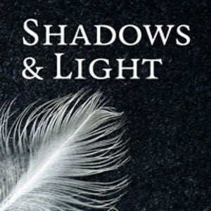 Profile picture for Shadows and Light Workshops