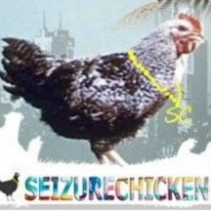 Profile picture for SeizureChicken