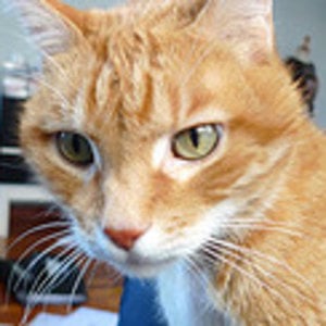 Profile picture for Ferran Mendizabal