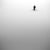 Blake Nyman