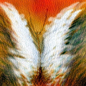 Profile picture for Dapheulia