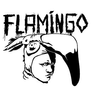 Profile picture for Flamingo