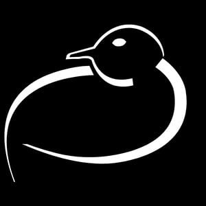 Profile picture for David Eckenrode