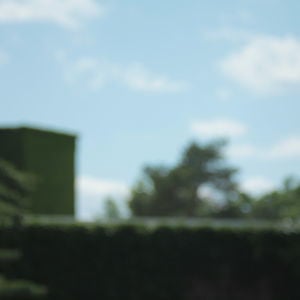 Profile picture for Ben Sherman
