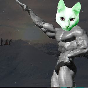 Profile picture for pirmin juffinger