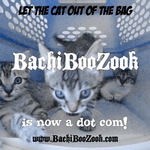 Profile picture for BachiBooZook