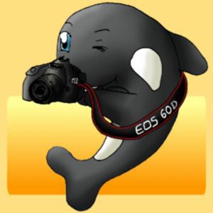 Profile picture for Phil K
