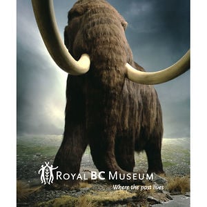 Profile picture for Royal BC Museum