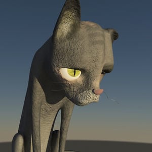 Profile picture for Dror Shpatz