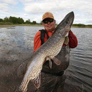 Profile picture for Robert Sørvik