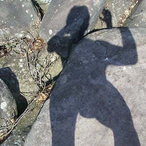Profile picture for Don Yorty