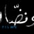 abou naddara