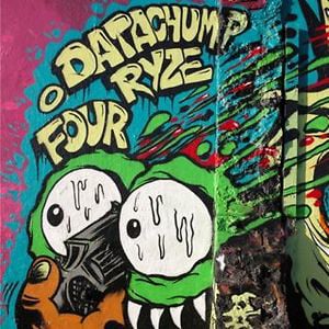 Profile picture for datachump