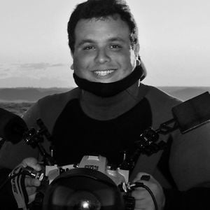 Profile picture for Daniel Botelho