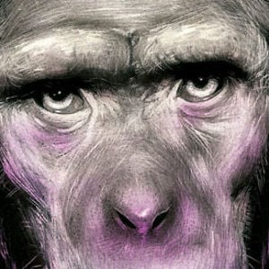 Profile picture for Andreas Gaertner