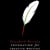 Elizabeth Kostova Foundation