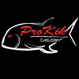Profile picture for PROKIK
