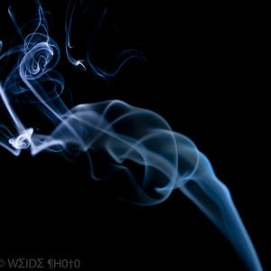 Profile picture for Austin Weide