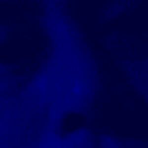 Profile picture for nash har