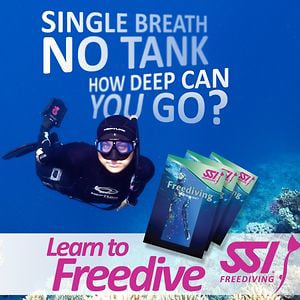 Profile picture for SSI FREEDIVING
