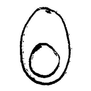 Profile picture for Boiled Egg