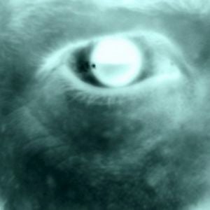 Profile picture for Mark Mueller