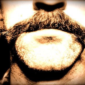 Profile picture for stephen hayden