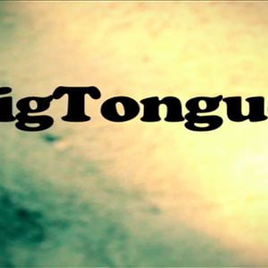 Profile picture for BigTongueFilm